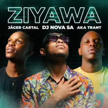DJ Nova SA, Jager Cartal & Aka Trant – Cubes