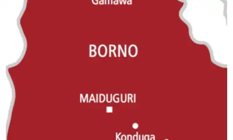 Six family members of ISWAP fighters surrender to Nigerian military in Borno
