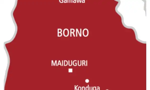 Six family members of ISWAP fighters surrender to Nigerian military in Borno