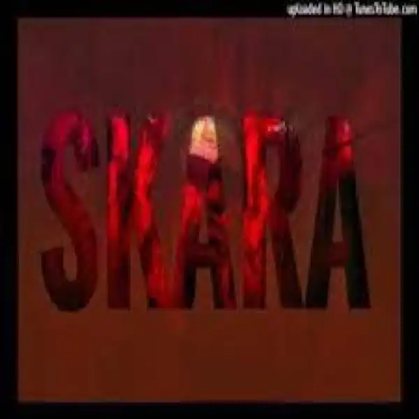 Focalistic x Mdu Aka TRP x Vigro Deep x Lady Du Type Beat – SKARA