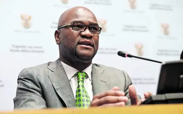 Biography & Career Of Nathi Mthethwa