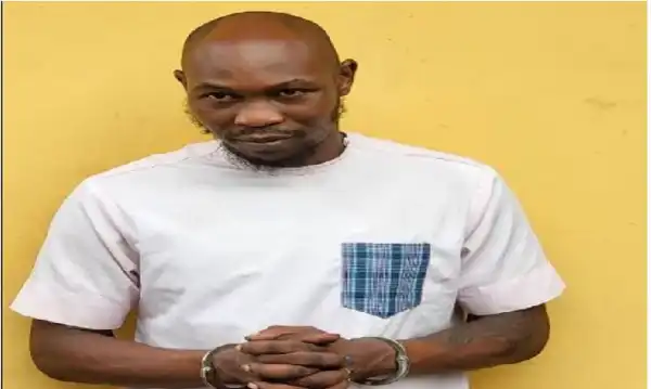 SAN leads proseuction team, court extends Seun Kuti’s remand