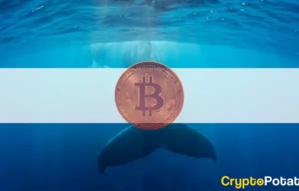 Following The Dump Below $30K Bitcoin Whales Accumulating: Analysis