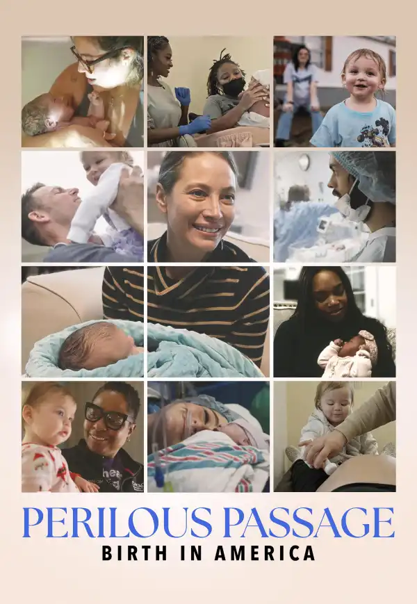 Perilous Passage: Birth in America (2026)