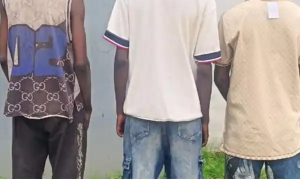 Three suspected Shilla boys arrested over phone snatching, planned violence
