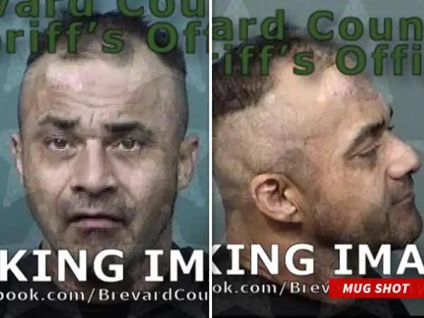 Wrestling star Teddy Hart arrested for having ecstasy and steroids in his car