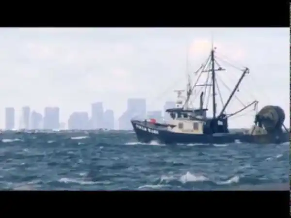 Dead in the Water (2018) (Official Trailer)