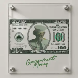 WAVE$TAR – GOVERNMENT MONEY