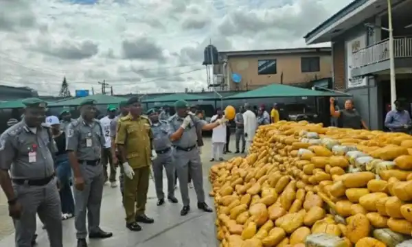 Customs seizes N3.95bn worth of illicit drugs, mercury in Lagos