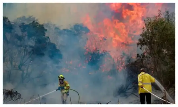Wildfires rage near Jerusalem, communities evacuated