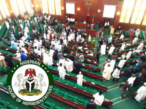 Reps To ‘Apply Diplomatic Pressure’ To Ensure Ekweremadus Get Justice In UK