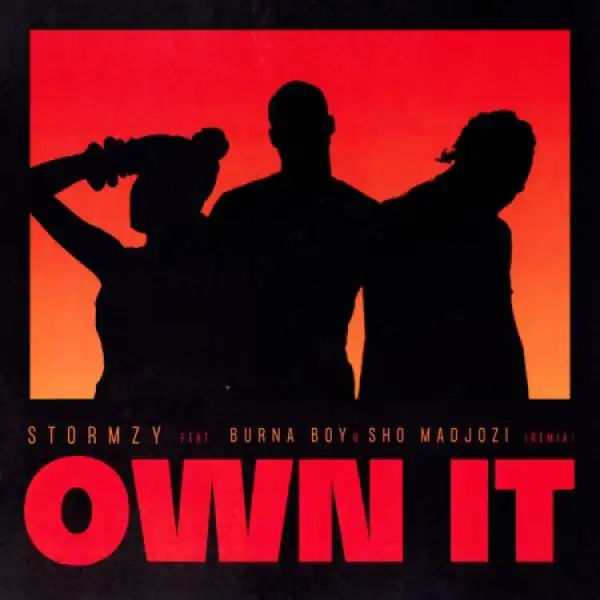 Stormzy – Own It (Remix) Ft. Burna Boy, Sho Madjozi