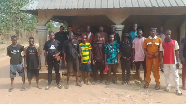 Gunmen attack herders, kill 30 cows at Ebonyi–Benue border community