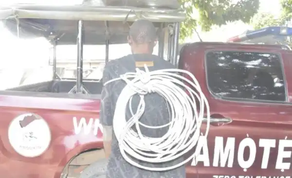 Serial Electric Cable Thief Apprehended In Osun