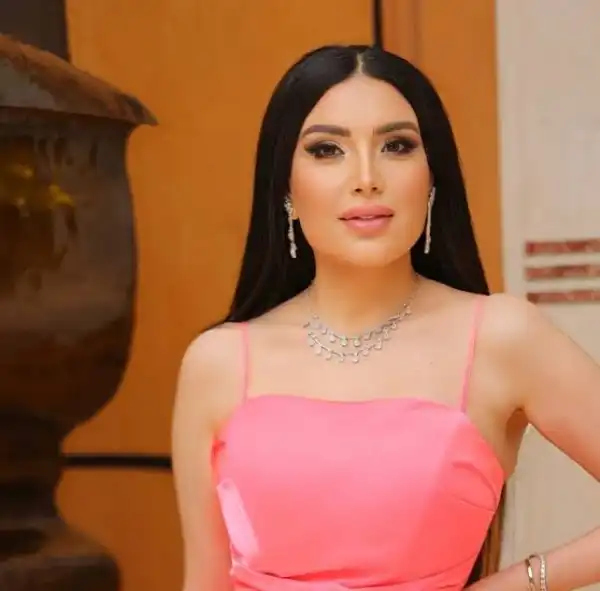 Biography & Career Of Abeer Sabry