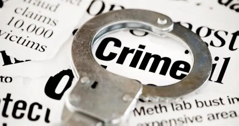 Twin sisters hack brother to death