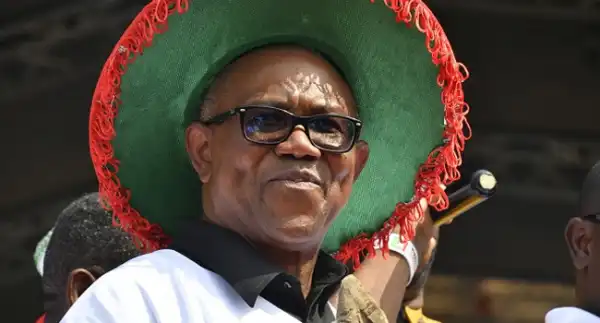 2023 Elections: Peter Obi Will Win By 12 Noon On Saturday - LP Chieftain