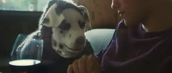 Good Boy Trailer Previews a Man in a Dog Costume