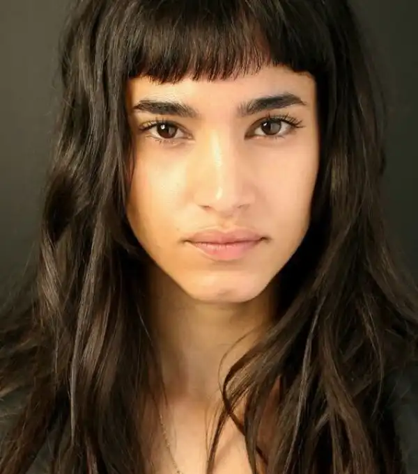 Net Worth Of Sofia Boutella