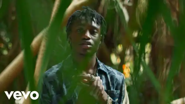 Lil Tjay – Sex Sounds (Music Video)