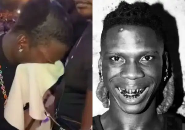 Netizens Reacts After Seyi Vibez Was Rushed Off Stage at Recent Concert