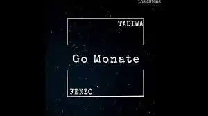 Tadiwa x Fenzo – Go Monate (Amapiano 2020)