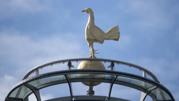 Tottenham takeover: Phoenix Suns part-owner Jahm Najafi to launch $3.75bn bid