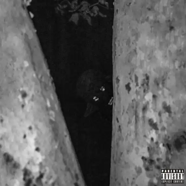 D Savage - IDC (feat. Trippie Redd)