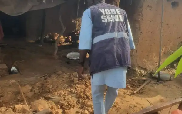 Flash flood ravages Yobe communities, displaces 1,020 people
