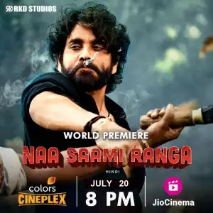 Naa Saami Ranga (2024) [Hindi]