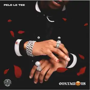 Felo Le Tee & Myztro – 66 & Dipatje Tsa Felo ft. Daliwonga