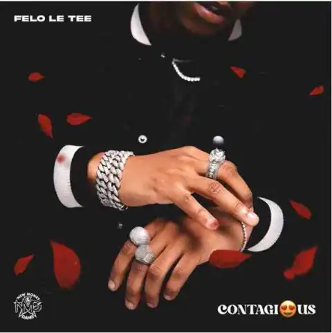 Felo Le Tee & Myztro – 66 & Dipatje Tsa Felo ft. Daliwonga