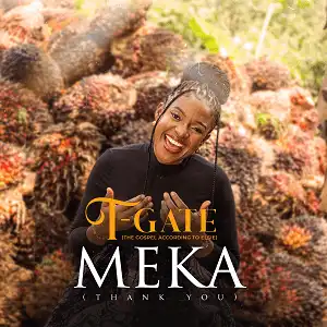 T-Gate – Meka (Thank You)