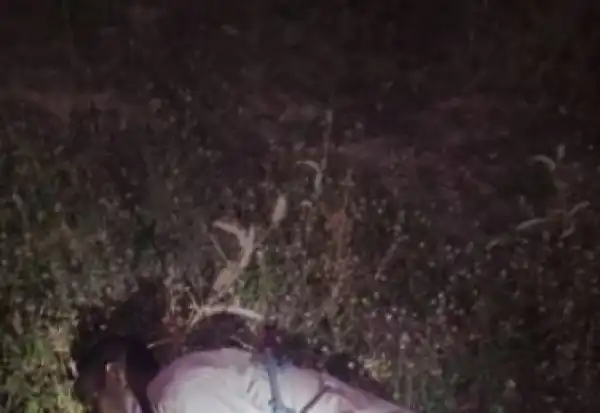 Police Arrests Four Suspected Kidnappers In Adamawa