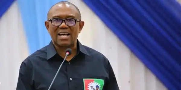 Peter Obi Tells President Bola Tinubu How to Increase Food And Oil Production