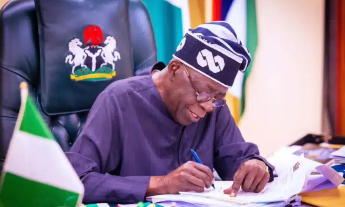 Tinubu playing games, can’t fix Nigeria without dismantling 1999 constitution – PDP’s Adetokunbo