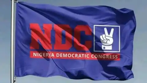2027: Peter Obi’s aide raises concern over NDC logo confusion