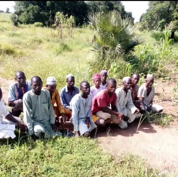 Troops rescue 15 kidnap victims in Zamfara