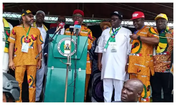 Anambra Guber: Soludo elected APGA candidate, announces Ibezim as running mate
