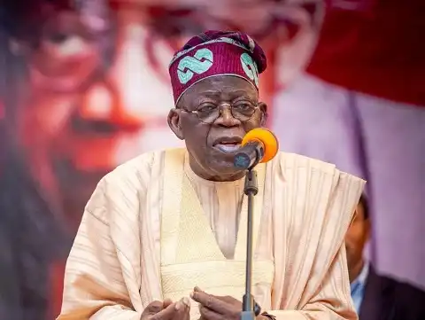 Powerful Forces Tried To Stop Tinubu's Candidacy – APC Vice Chair
