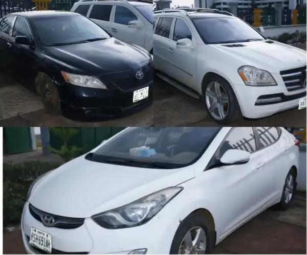 INTERPOL Recovers Vehicles Stolen In Nigeria From Niger Republic