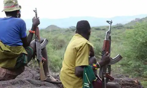 Bandits burn rice harvest, kill residents, abduct five in Zamfara