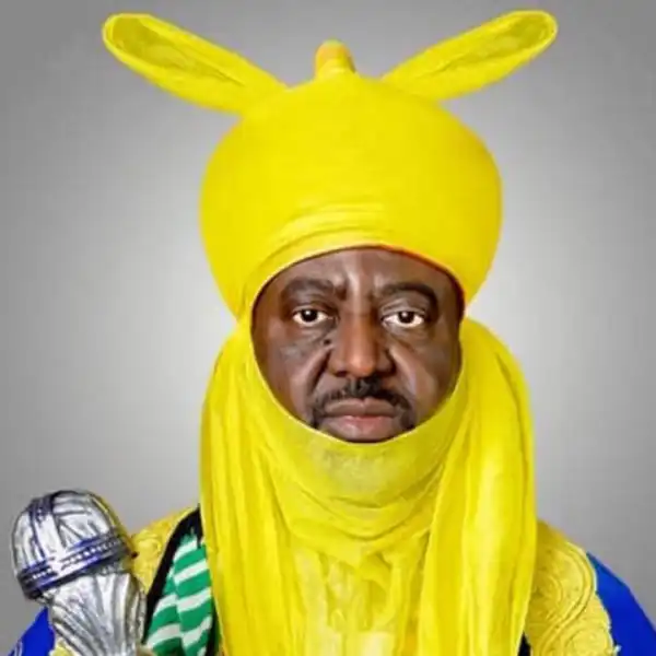 Police arrest more suspects for booing Kano emir