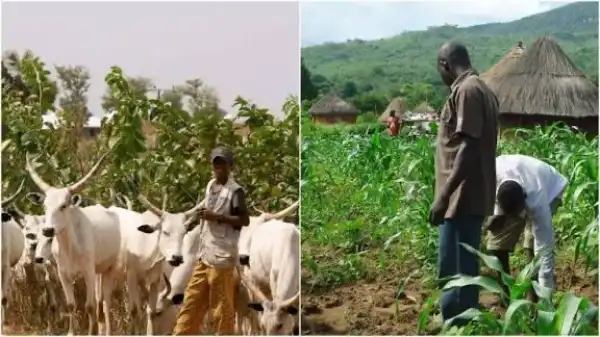 Nine injured in Nasarawa farmers-herders clash