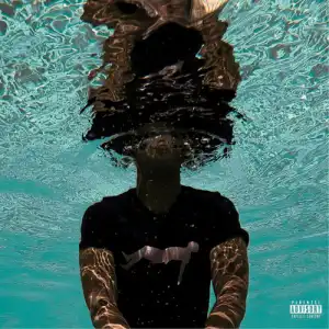 Pell - Friction (feat. Braxton Cook)