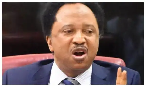2027: Peter Obi selling ‘pepsi’, doing promo for ‘coke’ – Shehu Sani