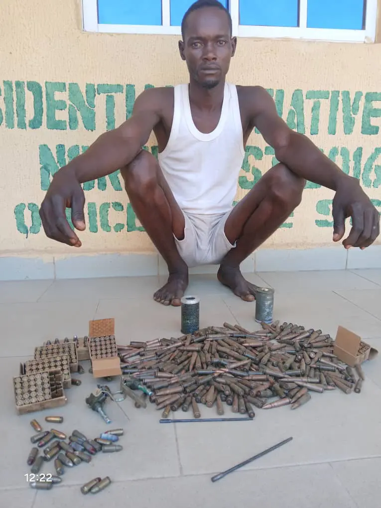 Adamawa: Police recover 364 bullets from suspected gunrunner
