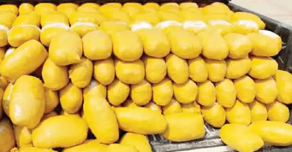 NDLEA Intercepts 235.89kg Illicit Drugs In Oyo