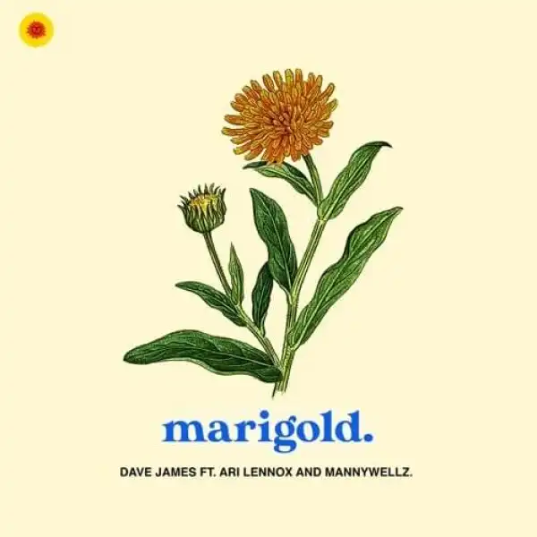 Dave James Ft. Ari Lennox & Mannywellz – Marigold