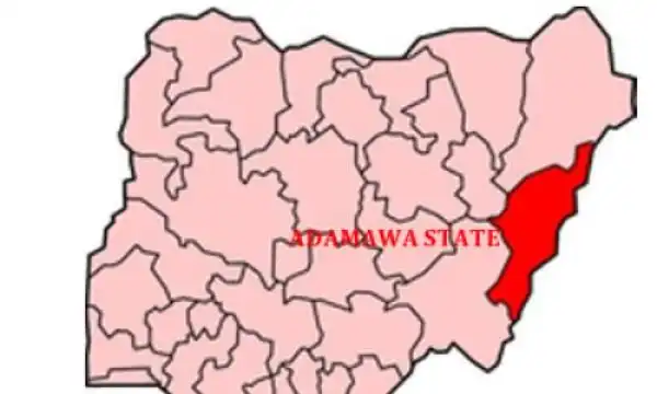 BREAKING NEWS: Ex-council chief in Adamawa killed in midnight attack by gunmen